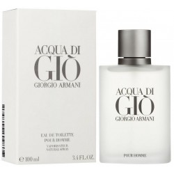 Giorgio Armani Acqua Di Gio Pour Homme edt 100 ml spray